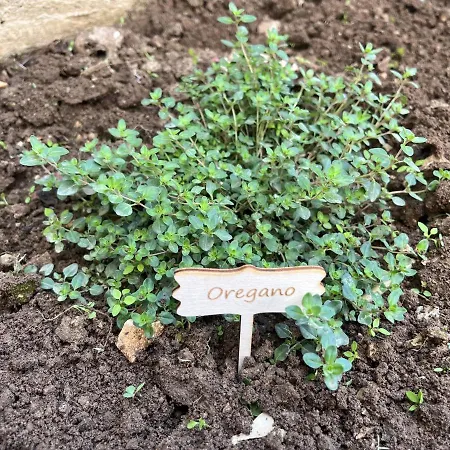 Azure Διαμέρισμα Ražanj